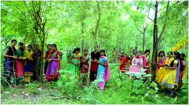 Village "Piplantri" Where 111 Trees are Planted on the Birth of Girl Child